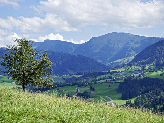 Blick vom Paradies zum Hochgrat