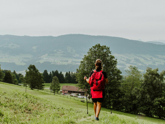 von Sulzberg Richtung Riefensberg (c) Nina Bröll / Vorarlberg Tourismus