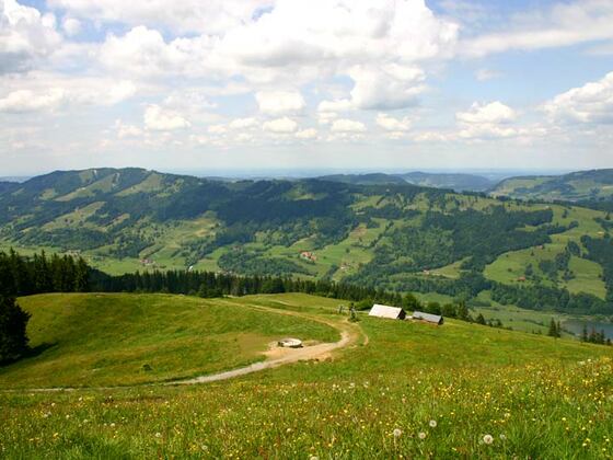 Ums Immenstädter Horn