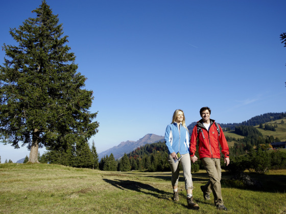 Wandern auf dem Hochmoor am Häderich