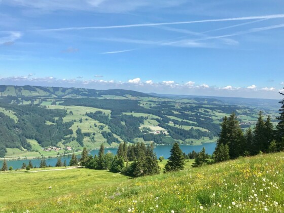 Blick oberhalb Starkatsgund zum Alpsee