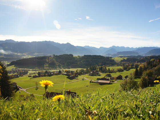 Aussicht auf Hüttenberg bei Ofterschwang