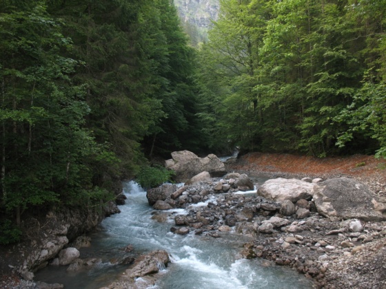 Stillach