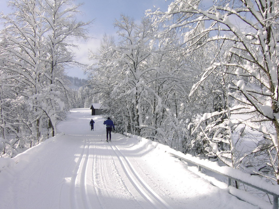 Loipe in Balderschwang