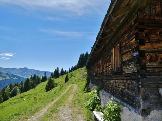 Alpe Stillberg