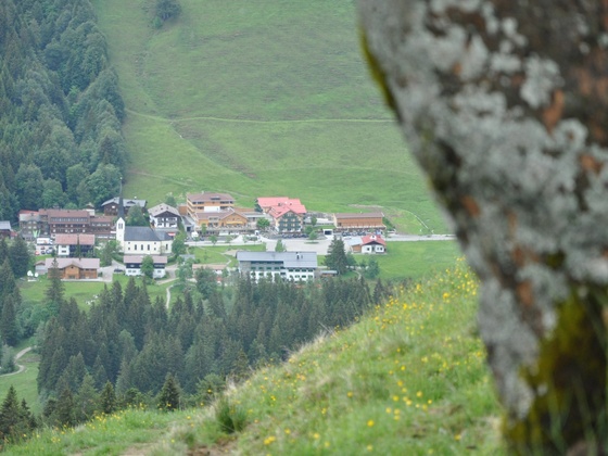 Auf dem Weg zum Gelbhansekopf