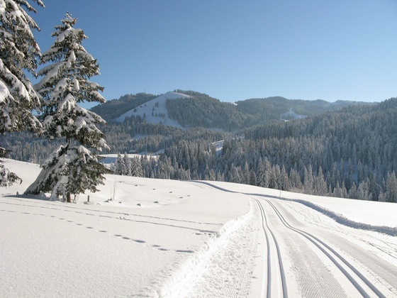 Langlaufen