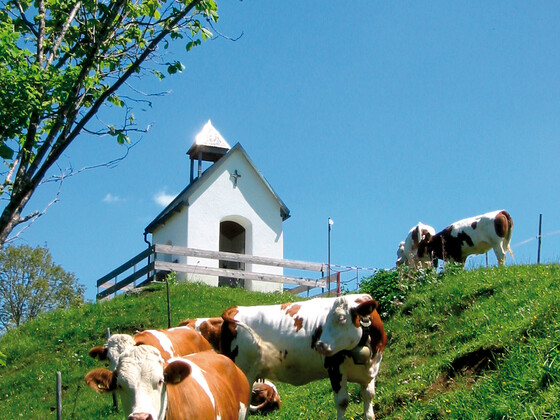 Die "Wächter" der Kapelle.