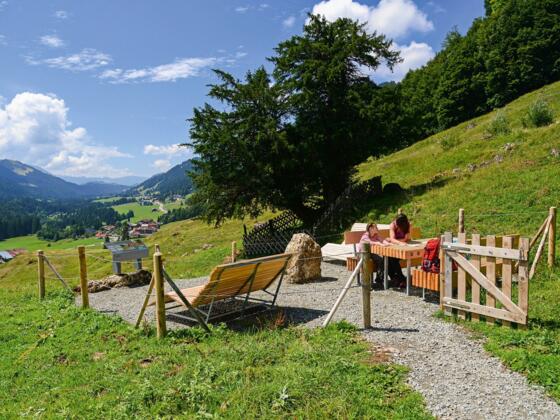 Entspannen auf dem Balderschwanger Zeitweg