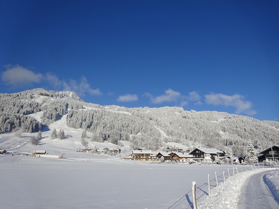 Bolsterlang