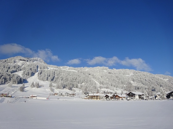 Bolsterlang