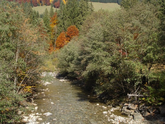 Bolgenach im Herbst