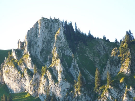 Blick zum Besler