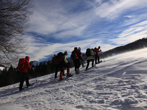 Zellboden