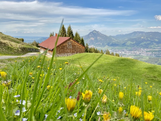 Rundweg Ofterschwanger Horn mit Blick zum Grünten