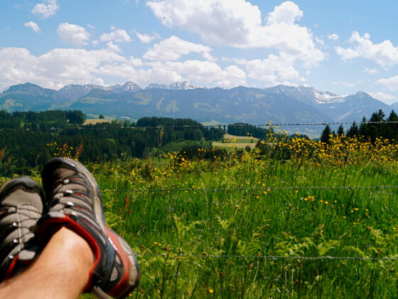 Naturlehrpfad in Ofterschwang mit herrlichen Aussichten
