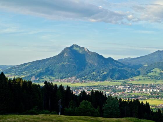 Blick auf den Grünten