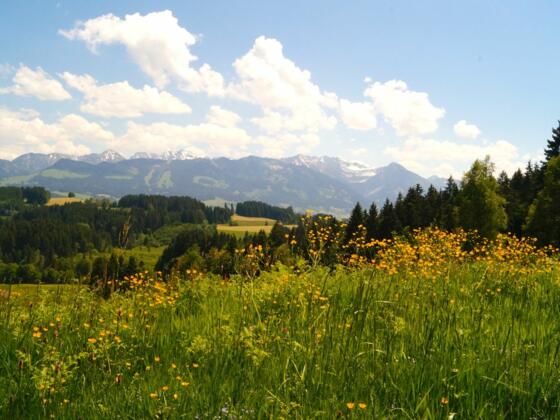 sagenhafter Weitblick vom Ofterschwanger Horn