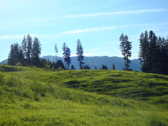 Weg zwischen Aumühle und Maderhalm