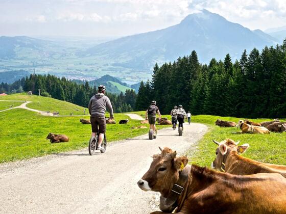Rasante Fahrt ins Tal mit dem Downholl Roller