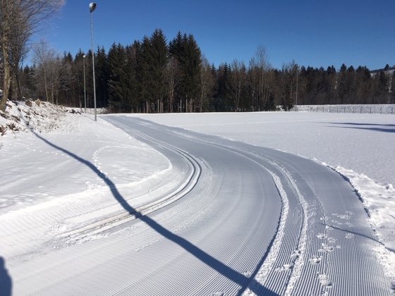 Nachtlanglauf-Loipe am Sportplatz in Fischen
