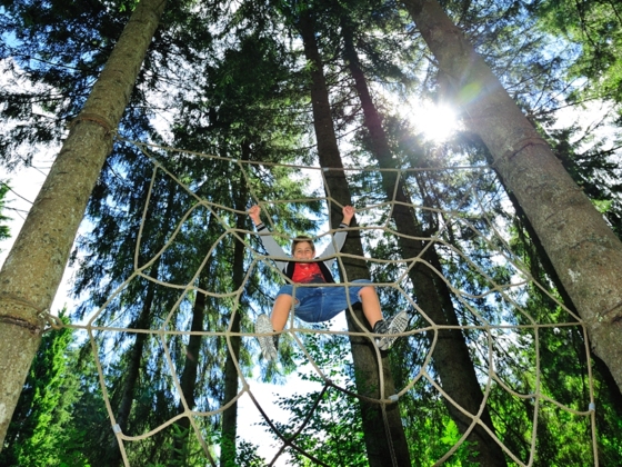 Netz im Kinderwald