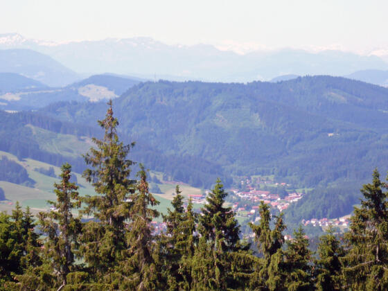 Blick auf Wengen mit Alpkette im Hintergrund