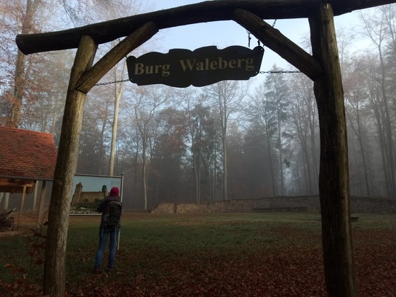 Schlossruine Kleinwallstadt