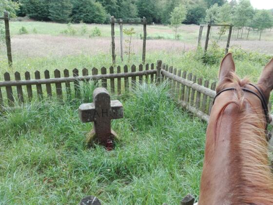 Hasenstabkreuz im Kropfbachtal