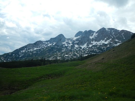 Herrlicher Blick auf die Tagweide