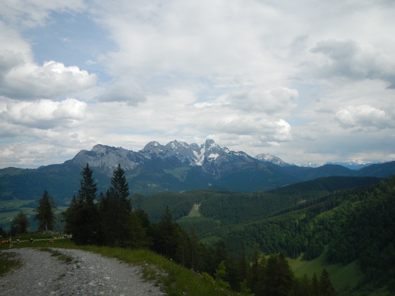 Herrlicher Ausblick
