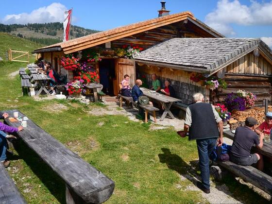 Labenbergalm-Lienbachhütte Postalm