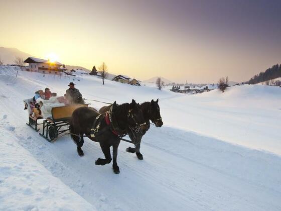Pferdeschlittenfahrten Schmiedbauernhof