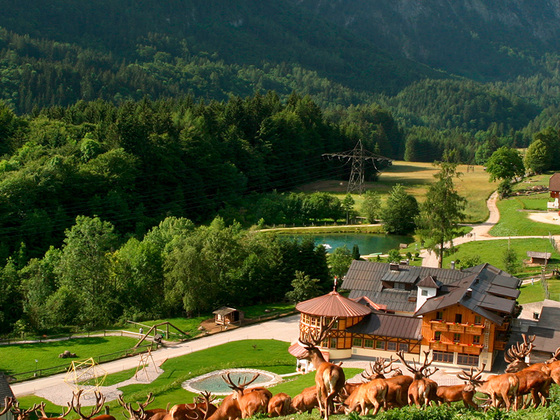 Wildpark Kleefeld