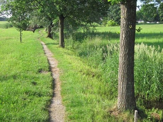 Naturlehrpfad am Schwarzbachmoos