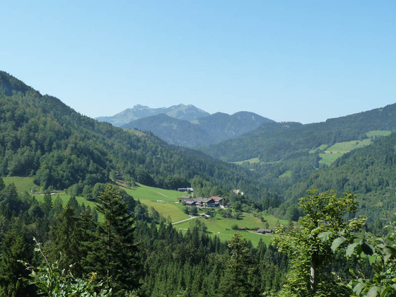 Rund um den Schwarzenberg - Auf dem Weg vom Hocheck Richtung Buchau