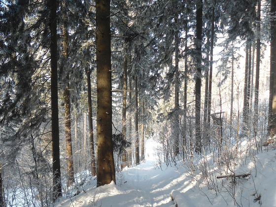 Schneeschuhtour