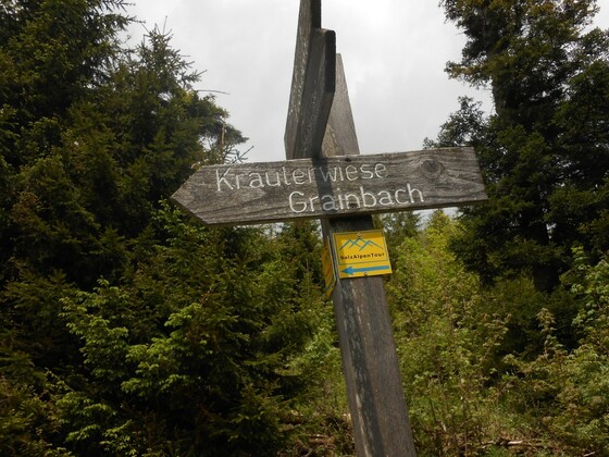 Wegweiser Kräuterwiese