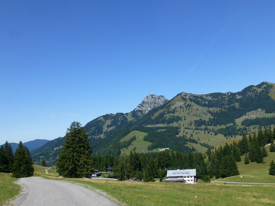 P1150002