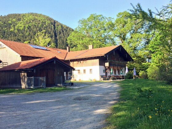 Schlipfgrubalm
