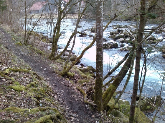 Mangfall Uferpfad