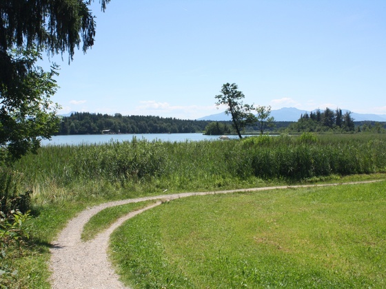 Hartsee