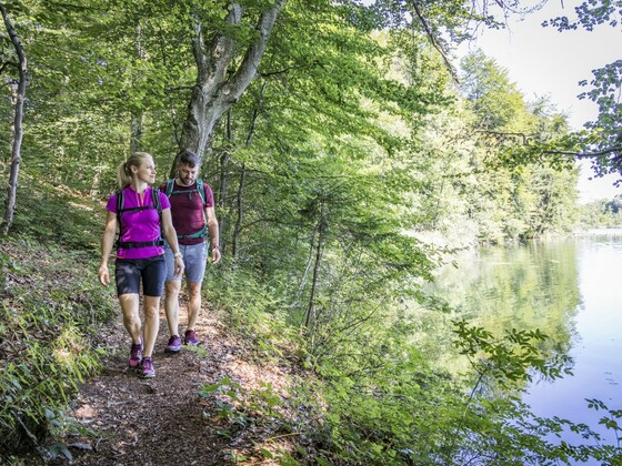 Wandern am Langbürgner See