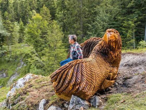 Vogelschutzbank oberhalb der Mailalm - Wendelsteinstreifzüge Künstlerweg