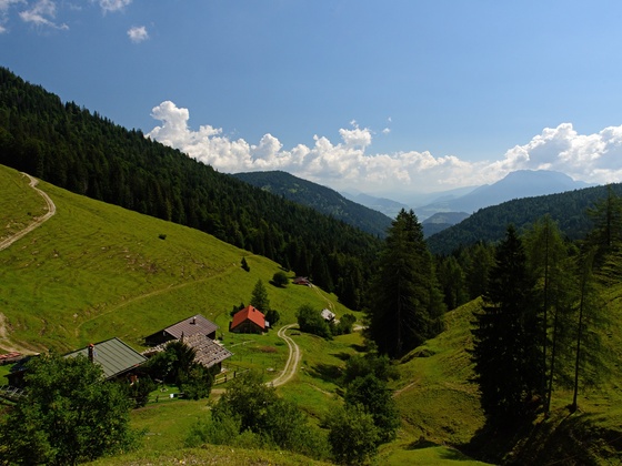 Aussicht Oberaudorfer Almen