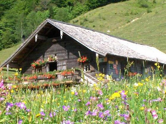 Mayerlehen Hütte