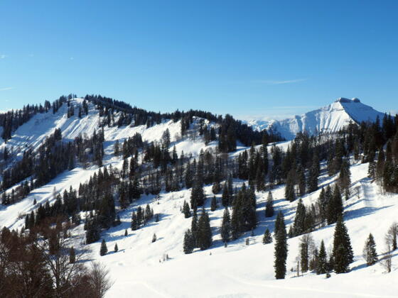 Anzenberg 1473m
