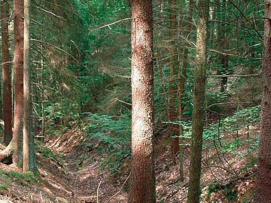 Auf dem Weg durch den Totengraben