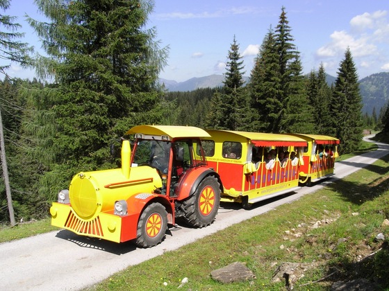 Ameisenexpress
