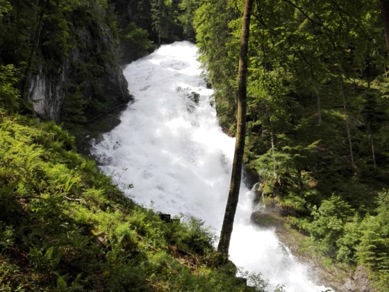 Winnerfall